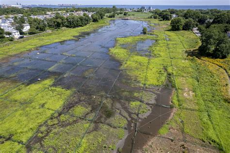 New Creek Bluebelt Tour - Open House New York