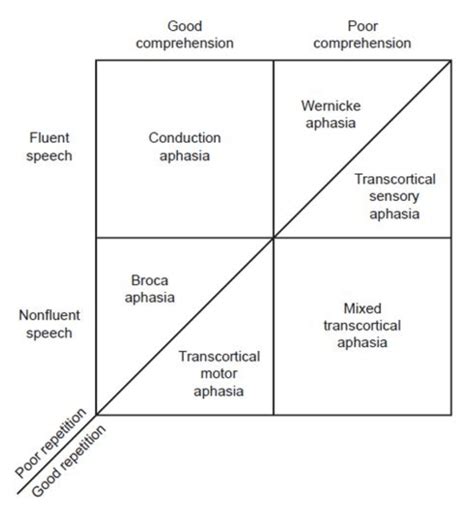 Aphasia Types Chart