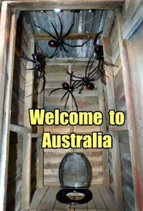 Reasons Why Arachnophobes Should Give Australia A Miss Funny