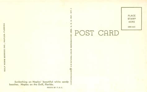 Sunbathing NAPLES Florida Beach Bikini Girls Surfing S Rare Vintage Postcard United States