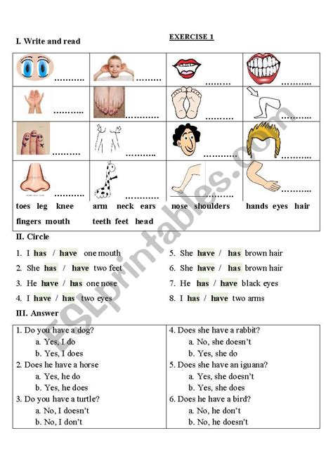 Vocabulary Body Parts Exercise Live Worksheets 41 Off