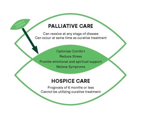 Tratamiento De Cuidados Paliativos Hospicio Tres Robles