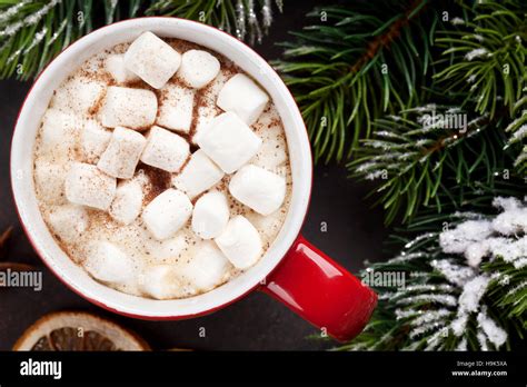 Christmas Fir Tree And Hot Chocolate With Marshmallow Top View Stock Photo Alamy