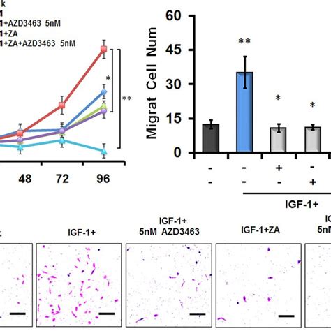 The Combination Of AZD3463 And ZA Suppressed The Proliferation And