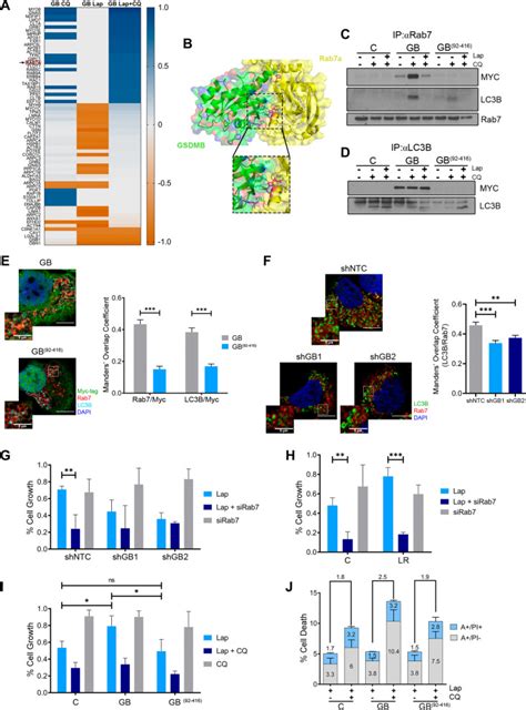 Gasdermin B Over Expression Modulates Her Targeted Therapy Resistance