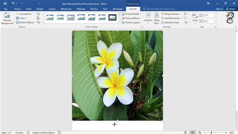 How To Make An Image Fill The Entire Page In Word Using Full Size Of