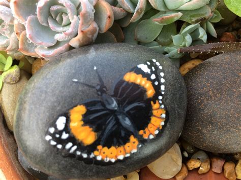 Butterfly Painted Rock