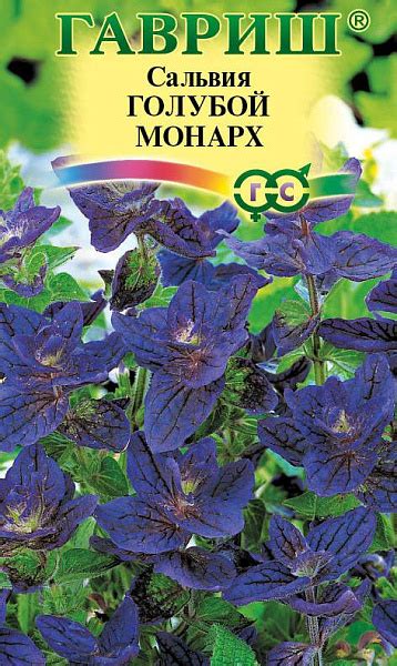 Шалфей (Сальвия) Голубой монарх: описание сорта, характеристики ...