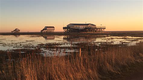 Yogareise Juli Ins Kubatzki Nordsee St Peter Ording Anusara