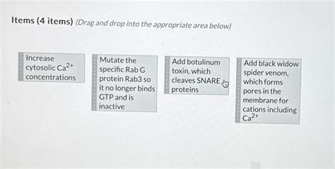 [Solved]: In the process of muscle contraction, an action p