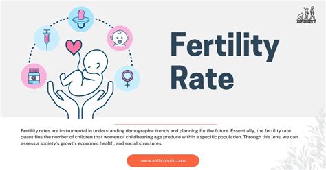 What is Fertility Rate? | Anthroholic