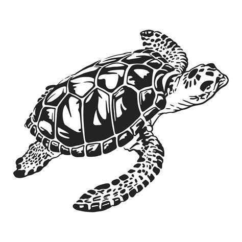 tortuga marina en ilustración de arte de línea vectorial en blanco y