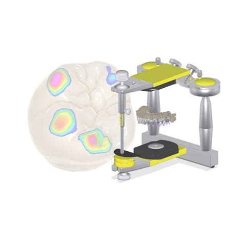 Modul Exocad Virtual Articulator Dentstore