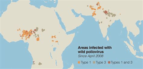 Polio Spreads To New Countries And Increases Where It’s Endemic The New York Times