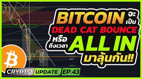 Bitcoin จะเป็น Dead Cat Bounce หรือ Scenario All In Youtube