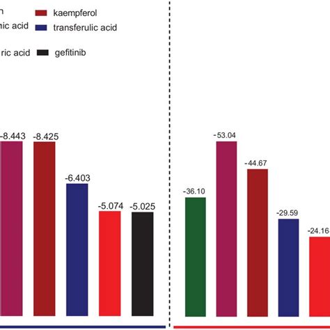 Graphical Representation Of The Molecular Docking Score And