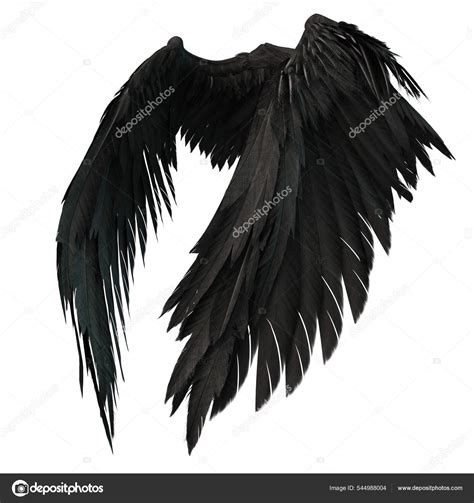 Pair Isolated Angel Wings Feathers White Background Illustration