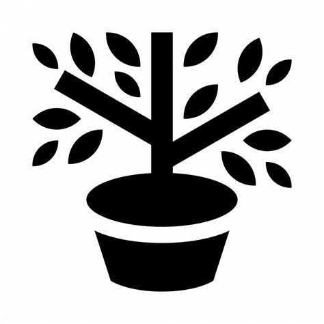 Bush Garden Gardening Plant Pot Shrub Tree Icon Download On