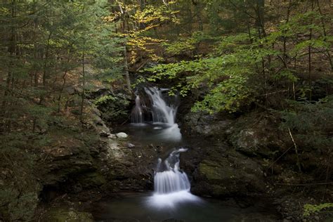 Autumn Forest Leaves Pouring River Rocks Stones Trees Water