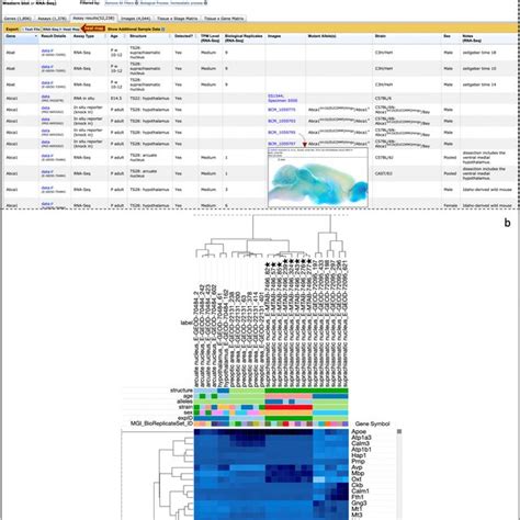 A Tabular Summary Of The Eva C Gene Mgi Annotation Across