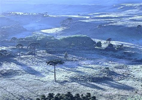 Frio No Sul Do Brasil 2021 Madrugada Tem Geadas E Pista Congelada No