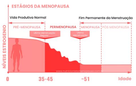 Qual Idade Menopausa Come A A Dar Sinais Entendendo Suas Fases