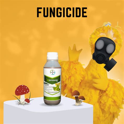 Serenade SC Fungicide Bacillus Amyloliquefaciens Lazada PH