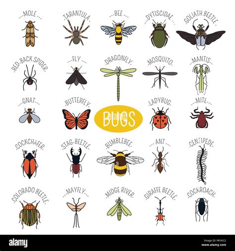 Insects Icon Flat Style Pieces In Set Colour Version Vector