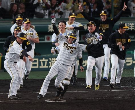 Focus プロ野球：「申し訳ない気持ち」から始まったプロ野球人生 阪神4番・大山悠輔 毎日新聞