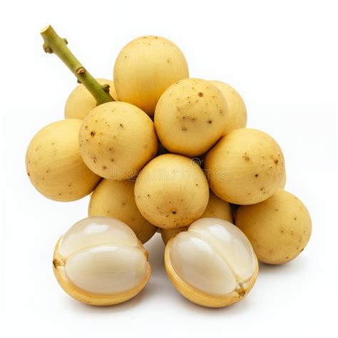 lanzones fruit closeup studio shot stock illustrations  lanzones