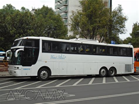 Aycamx Autobuses Y Camiones M Xico Autobuses Turismo