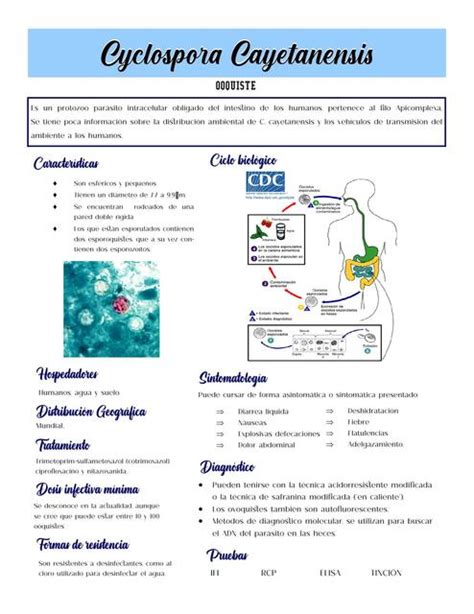 Ficha De Parásitos Jimena Carrillo Soto Udocz