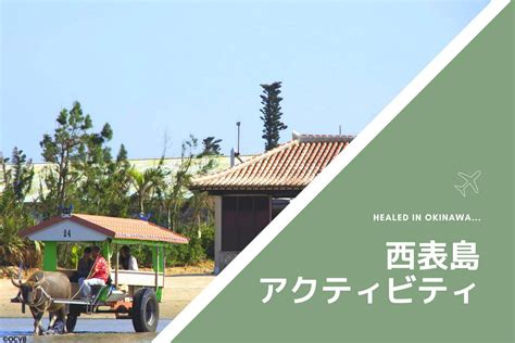 大自然でパワーチャージ！西表島のアクティビティを紹介 沖縄の観光情報はfeel Okinawa