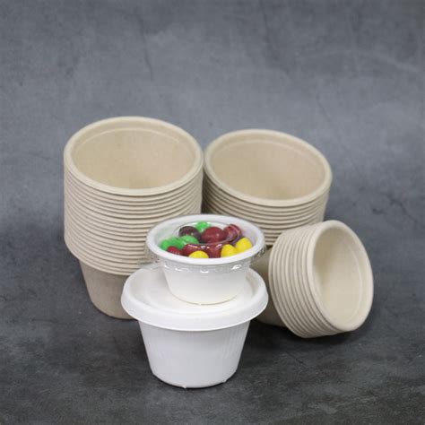 Watsonpak Sugarcane Bagasse Pulp Molding Compostable Ecofriendly