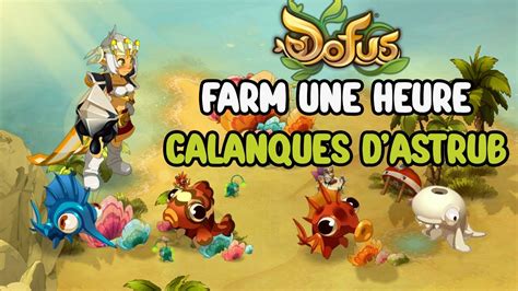 Dofus Farmer Heure Les Calanques D Astrub A Rapporte Combien