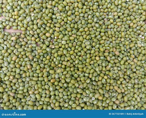 Collection of Green Bean Seeds Stock Image - Image of seeds, dish: 267732189