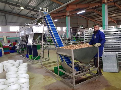 New Cashew Nut Processing Technology In