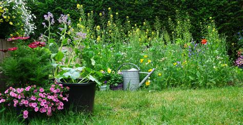 Comment réaliser un potager écologique Paroles de jardiniers