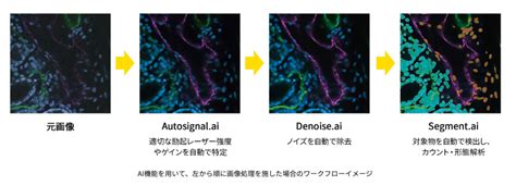 Ax R Mp With Nsparc