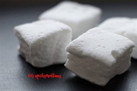 DIY Hot Cocoa Mix Erin Brighton