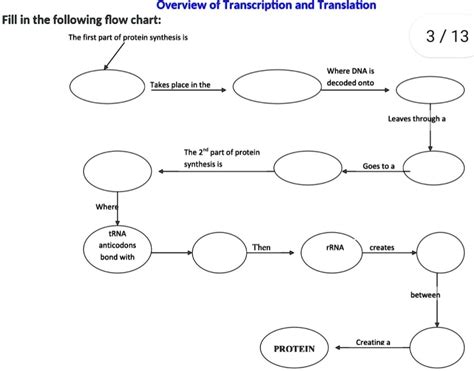 Protein Synthesis Flow Chart