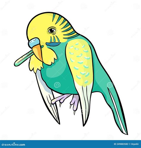 how to parrot sick for beginners 2