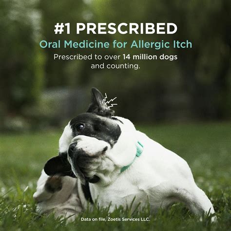 Apoquel Tablets for Dogs - Prescription Medication | Smarty Vets