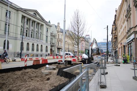 Pierwsze drzewa pojawiły się na zazielenianej ulicy Warszawskiej