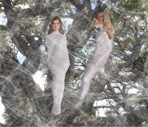 Artemisa And Jess Stuck In A Spider Web By Paulm131 On Deviantart