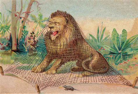 What Is The Moral Of The Fable The Lion And The Mouse at Kenneth ...
