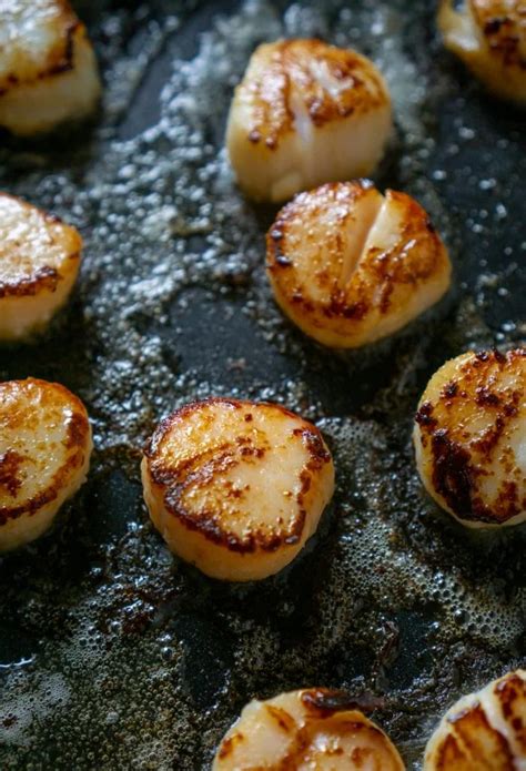 Pan Seared Scallops Are Are Quite Simple Once You Learn The Trick To