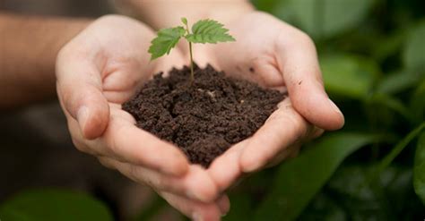 Como Preservar O Solo E Proteger O Meio Ambiente