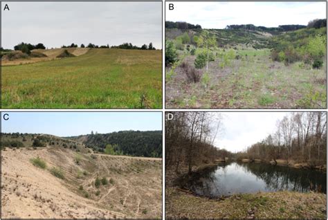 views   selected eskers   study area  esker