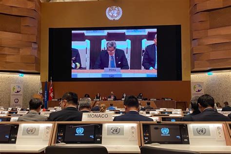 Peru Reaffirms Commitment To Disarmament And Arms Control News